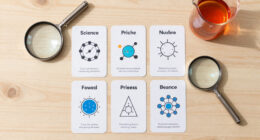 12 Best Science Reference Flashcards in 2026