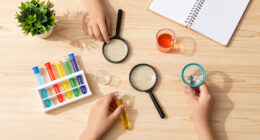 10 Best Educational Science Reference Kits in 2026