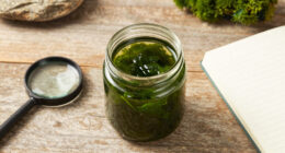 E Pluribus Algae: Why Green Pond Scum Is as American as Red, White and Blue