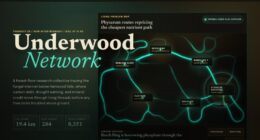 Underwood Network - Living Mycelium Research Map (FABLE/175)
