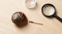Snails' Teeth Beats Spider Silk As Nature's Strongest Material (2015)