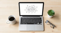 Is AI Reasoning Right For The Wrong Reasons?