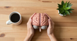 Aging Brains Blend Memories Together Instead Of Just Forgetting Them